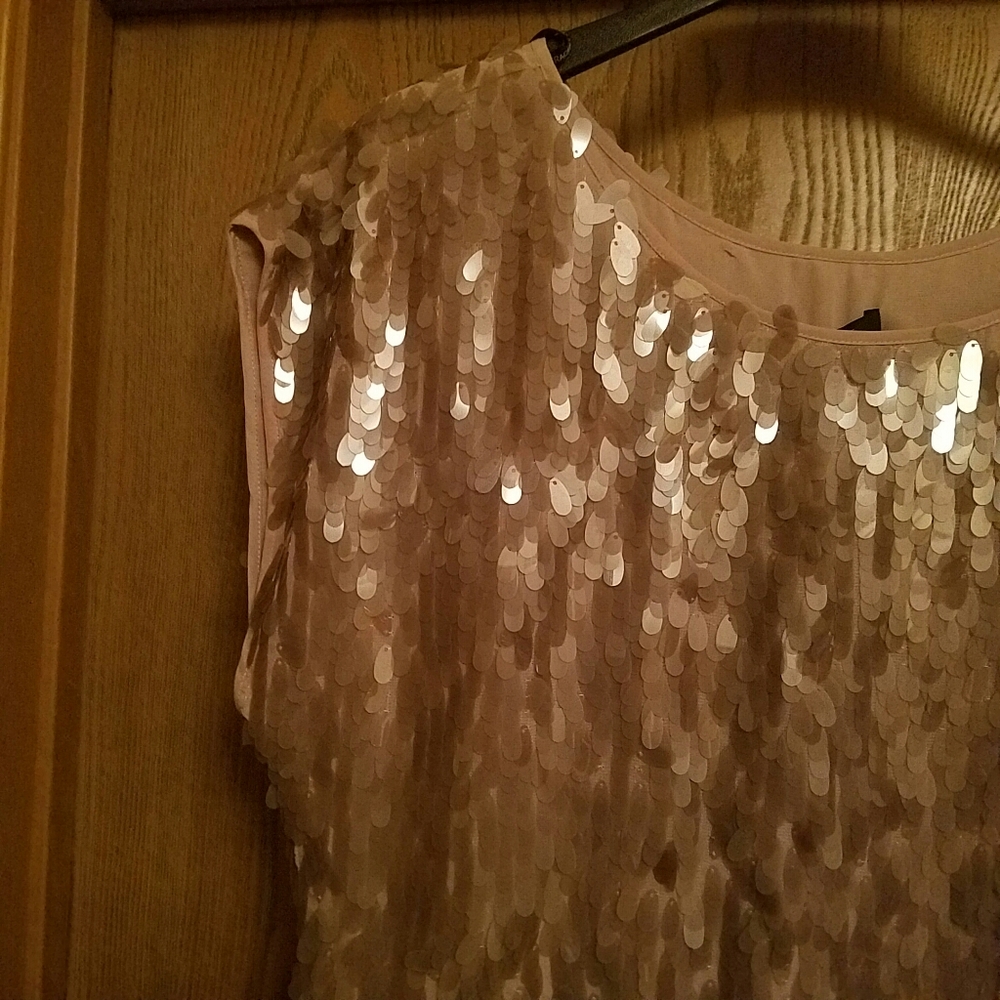Rachel Zoe beige sequin top - Picture 3 of 7